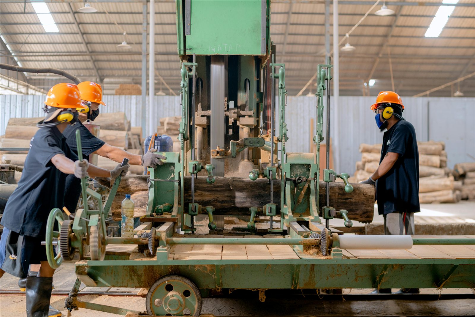 Operacao industrial de corte de madeira em linha de producao